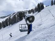 Innevamento a Solitude