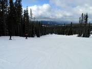 Pista facile Hummingbird presso la seggiovia Plaza