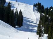 Pista difficile n. 38 Diretissima (Schlagl)