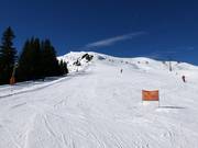 Pista per esercitazioni presso lo skilift a piattello Sücka