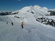 Discesa difficile Steinermandl (Jochtal)