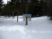Divertente discesa nel bosco per bambini