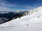 Discesa per famiglie