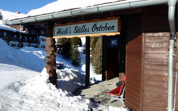 Alpenrheintal (Valle dell'Alpenrhein): Pulizia nei comprensori sciistici – Pulizia Pizol - Bad Ragaz/Wangs