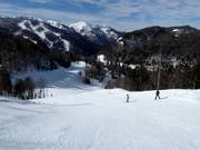 Pista n. 17 Kolašin 1600