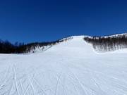 Pista difficile Ølkorken n. 11 (Gullsteinhovda)