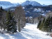 Vista dalla cabinovia sulla discesa FIS