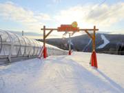 Suggerimento per i più piccoli 