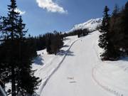 Pista Petit Vallon