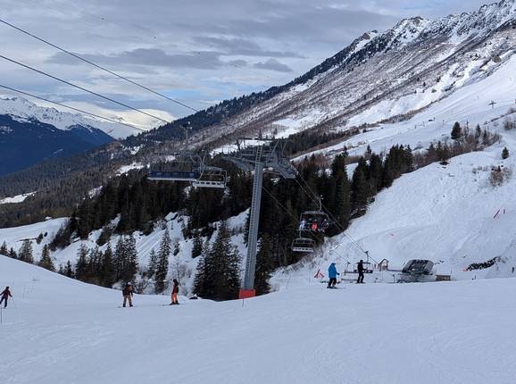 Morel - © Michael Medek - Foto Michael Medek