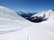 Pendii freeride Brytnest-Grieschumma