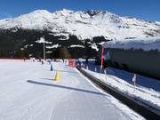 Plaghera - Tapis roulant/Tappeto Magico