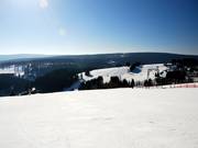 Tanto spazio sulla Postwiese