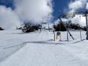 Mitchell T-Bar - Skilift con T-bar/ancora