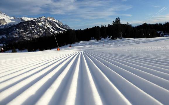 Preparazione delle piste Toggenburg – Preparazione delle piste Wildhaus - Gamserrugg (Toggenburg)