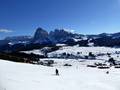 Immagini Alpe di Siusi (Seiser Alm)