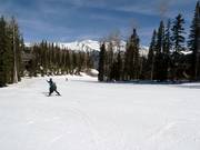 Discesa facile Bridges