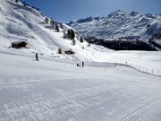 Wolli Parco principianti Sunnegga