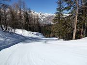 Pista facile Brunarica-Zadnji Vogel n. 12