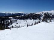 Pendio soleggiato medio