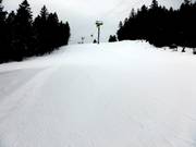 Pista da slalom presso la cabinovia