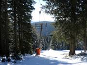 Neklid-VL 500 - Skilift con T-bar/ancora