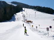 Tellerlift - Skilift a piattello
