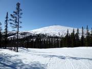 Vista dalla stazione a monte della seggiovia Stugliften verso il Dundret