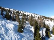 Aree freeride/fuoripista sul Monte Agaro