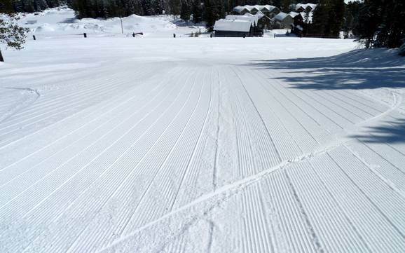 Preparazione delle piste Alberta Meridionale – Preparazione delle piste Castle Mountain