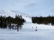 Pista Koulurinne (n. 3)