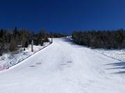 Piste nere presso la seggiovia Teola-Pianoni Bassi