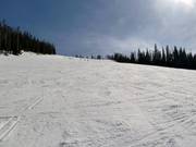 Discesa facile Village Way