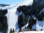 Vista sulla pista n. 62 Bärenbadkogel 1