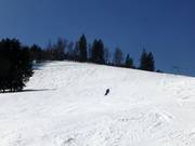 Discesa Franzosenberg