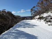 Pista Mother Johnson's Return