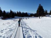 Pista pratica Arnouva con tappeto roulant