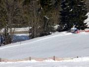 Kinderlift Haldenköpfle - Manovia/Babylift a fune bassa