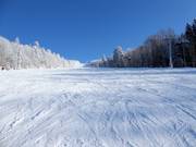 Pista di media difficoltà presso la seggiovia Große Almberg