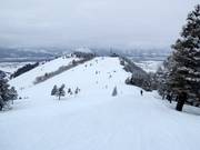 Vista da Sunnyside verso il Panorama House