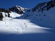 Pista facile presso la seggiovia Balbach