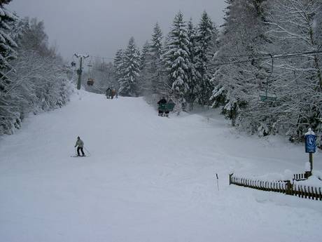 Offerta di piste Alto Palatinato – Offerta di piste Hohenbogen - Neukirchen bei Hl. Blut