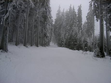 Offerta di piste Harz (catena montuosa) – Offerta di piste Wurmberg - Braunlage