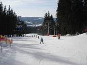 Piste facili e larghe a Lipno