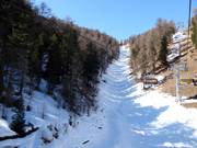 Pista freeride Sautal