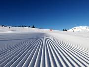 Ottima preparazione delle piste