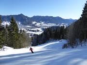 Discesa della Coppa del Mondo