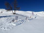 Sentiero didattico degli animali