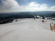 Piacere del carving al mattino