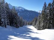 Pista intermedia Langried